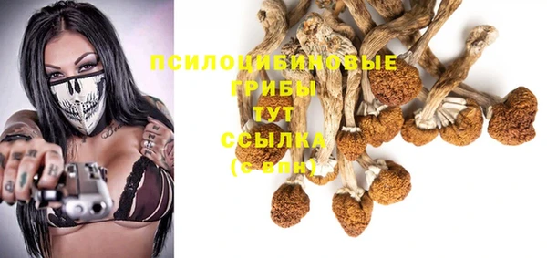 таблы Зерноград