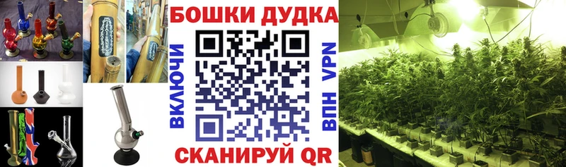 Купить где  Окуловка  Канабис VHQ 